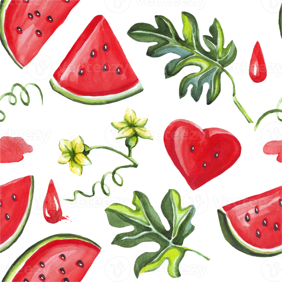 Watermelon seamless  pattern. Watercolor illustration png