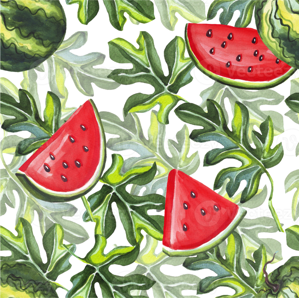 Watermelon seamless  pattern. Watercolor illustration png