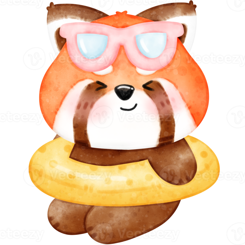 Cute Red Panda in Summer illustration, watercolor red panda, watercolor summer, summer red panda, summer illustration png