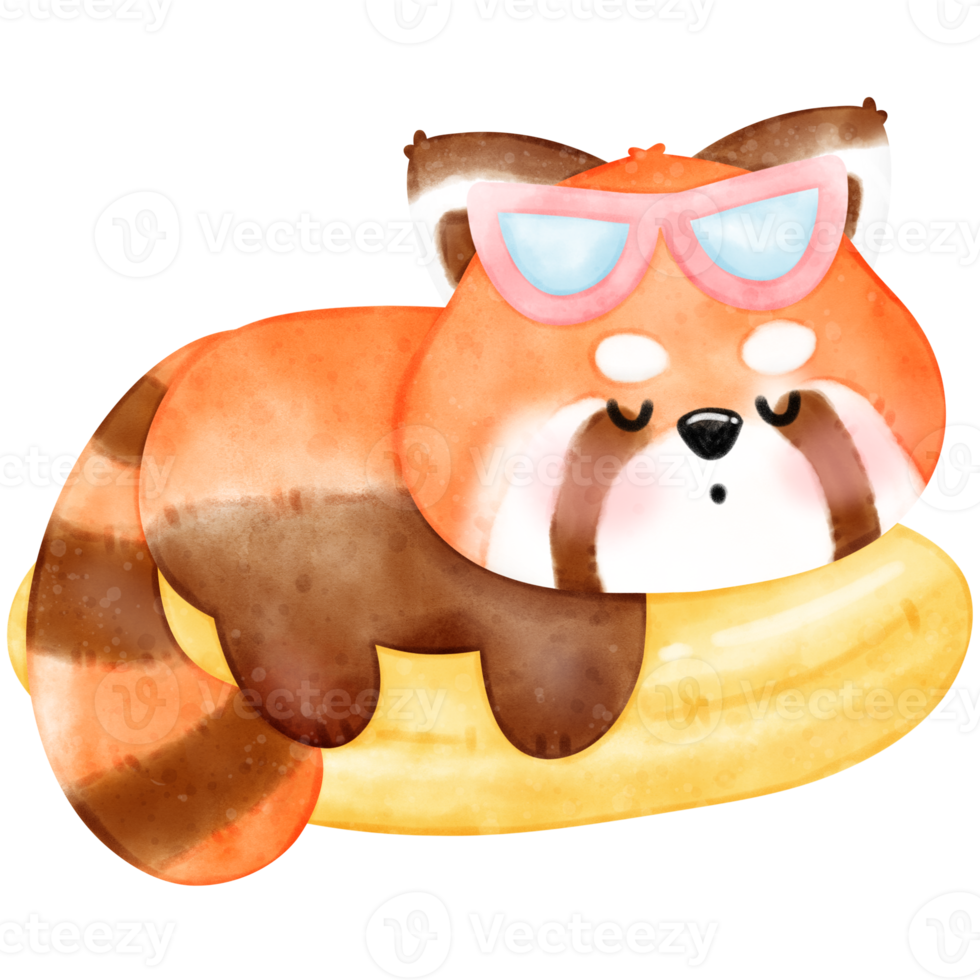 Cute Red Panda in Summer illustration, watercolor red panda, watercolor summer, summer red panda, summer illustration png