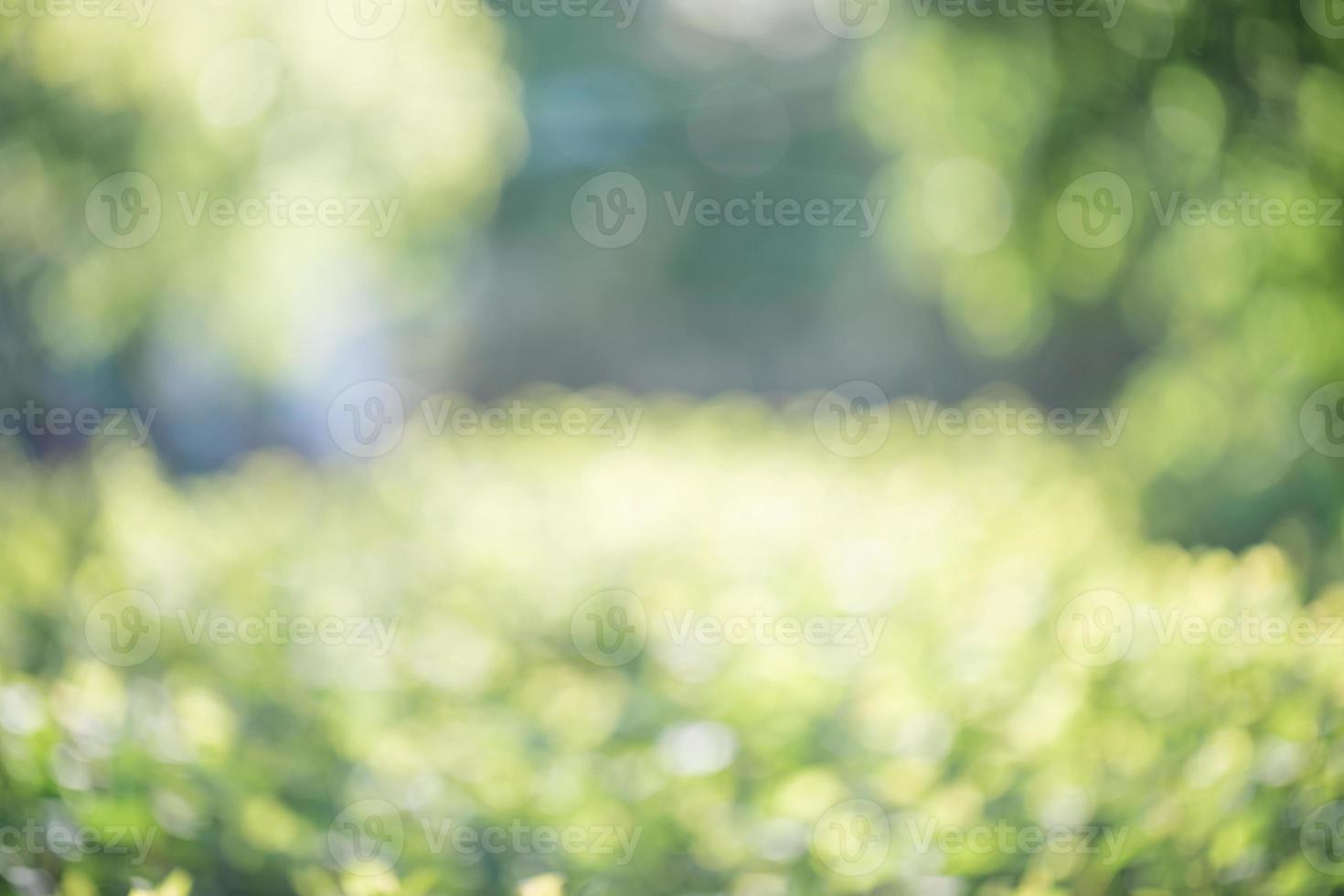 Spring green blurred background. photo