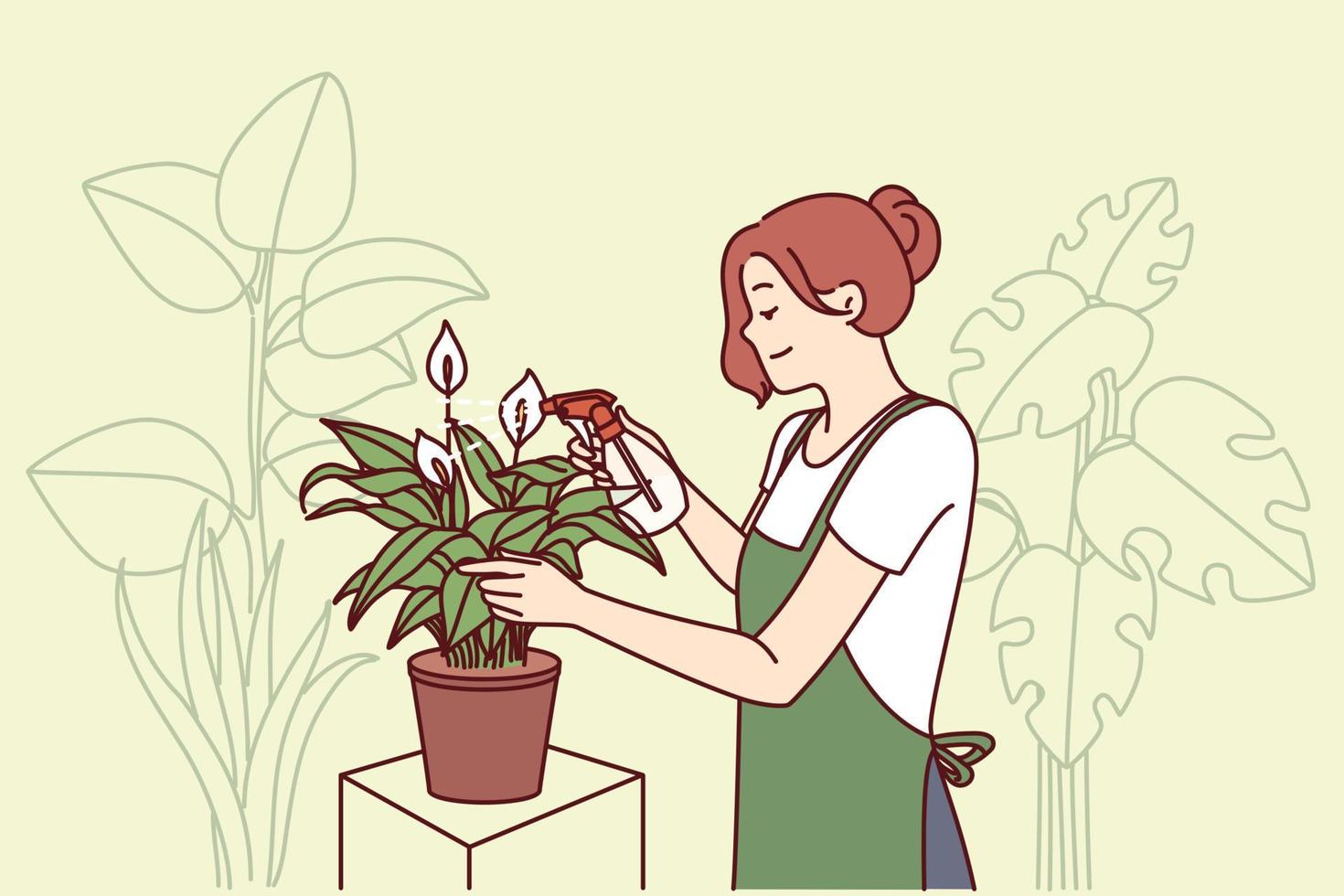 Woman gardener from greenhouse takes care of house plants by spraying leaves with fertilizer to get rid of termites. Florist girl works in greenhouse and breeds home plants for sale in own store vector