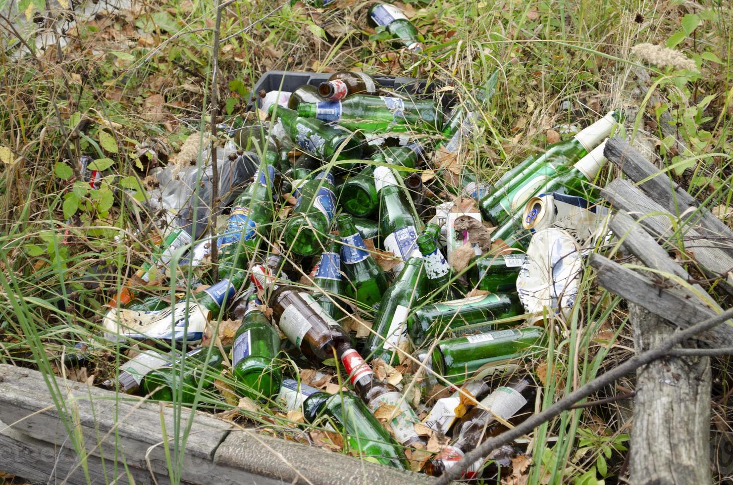 basura en el bosque. ecológico problema. foto