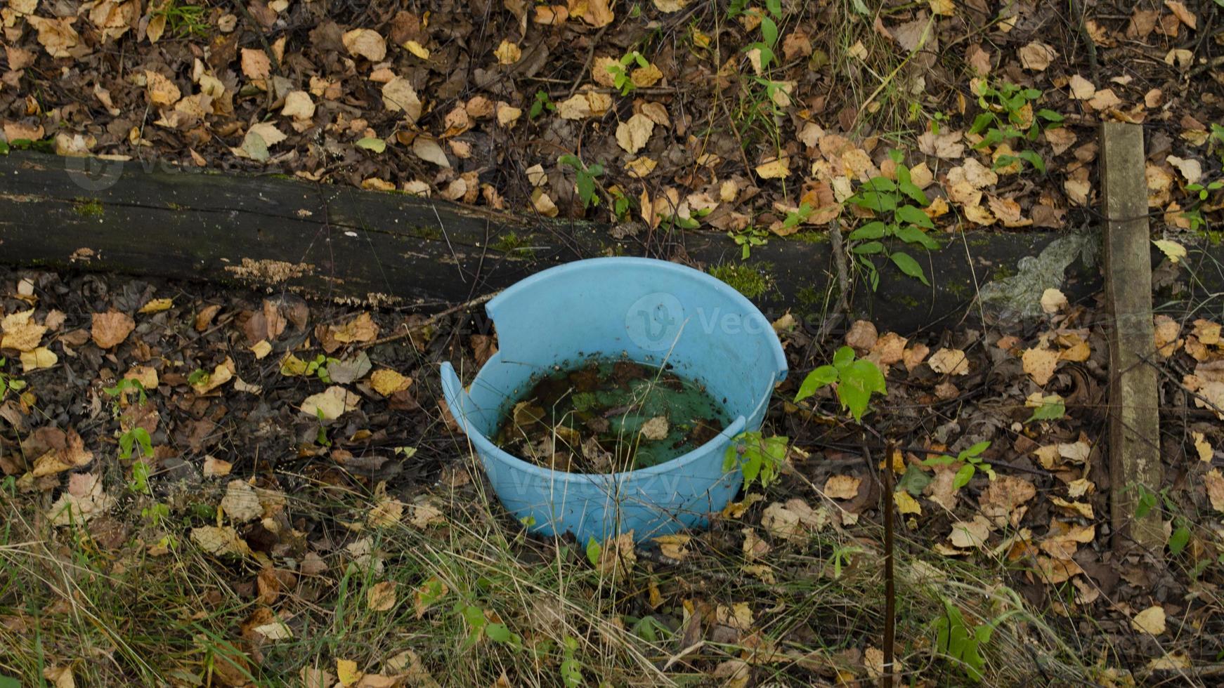 basura en el bosque. ecológico problema. foto