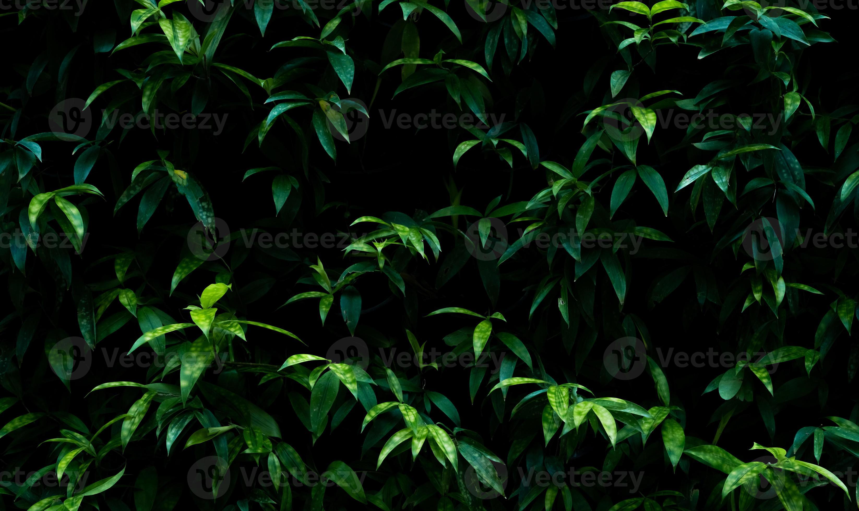 Green plant on vertical garden wall texture background. Sustainable