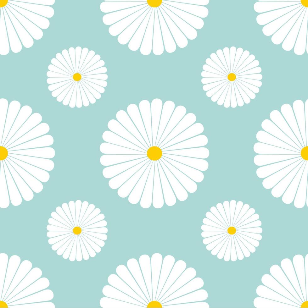 Daisy flowers seamless pattern background, vector illustration