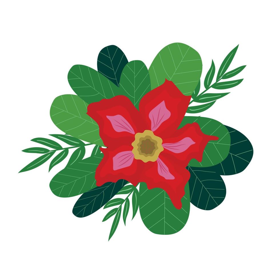 Exotic, tropical flower with tropical leaves on a white background. vector