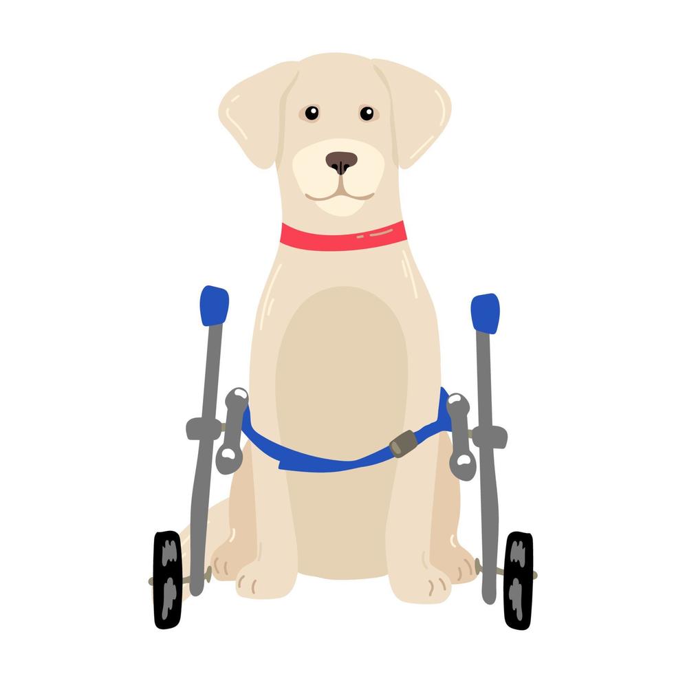 Dog in a wheelchair for the hind paws. Vector illustration in a flat style
