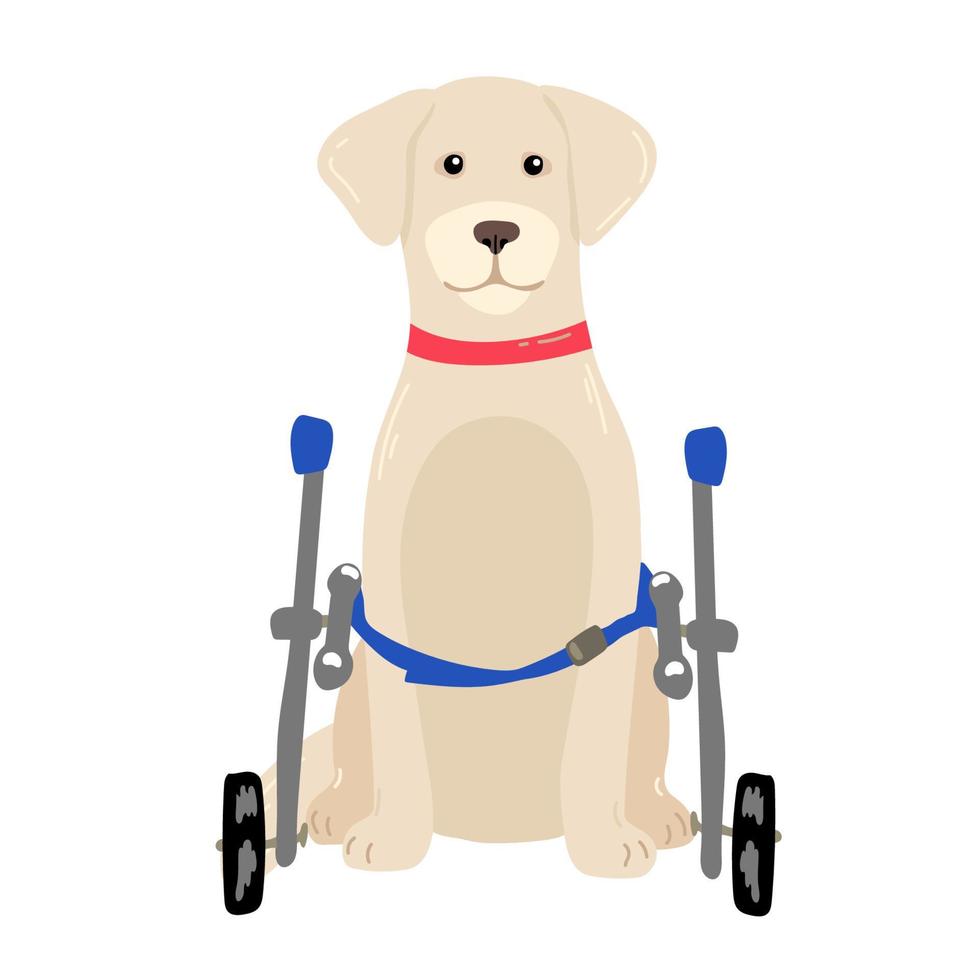 perro en un silla de ruedas para el posterior patas vector ilustración en un plano estilo