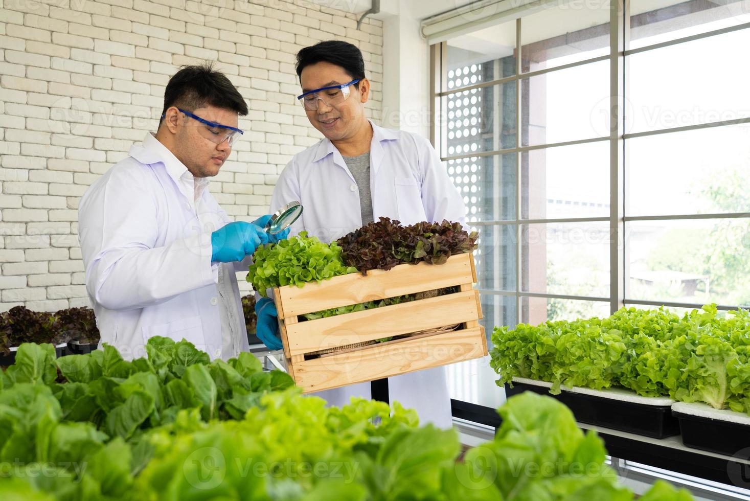 Scientist Team Doing Experiment in Agriculture Lab to Develope Genetic Modification Crops photo