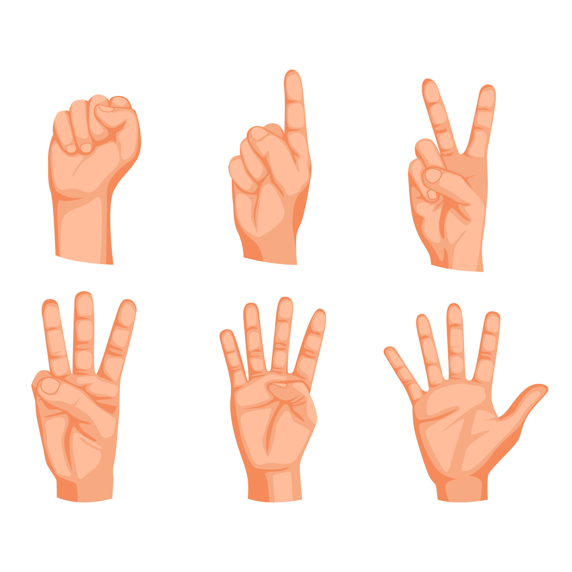 Counting Hands from one to five, isolated on white background 22998371