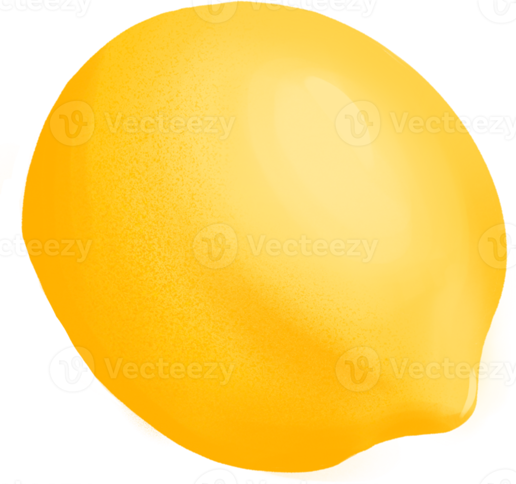 fresco limão mão desenhar clipart Comida ilustração png