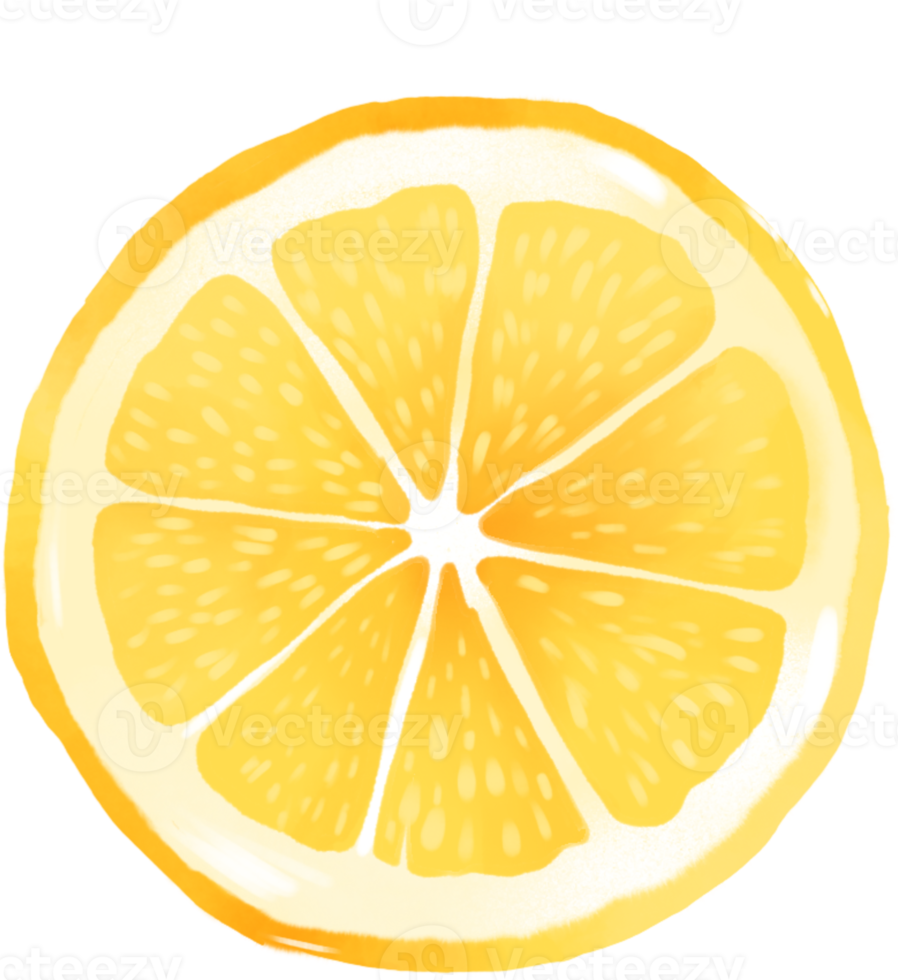 Fresh Lemon hand draw Clipart food illustration png