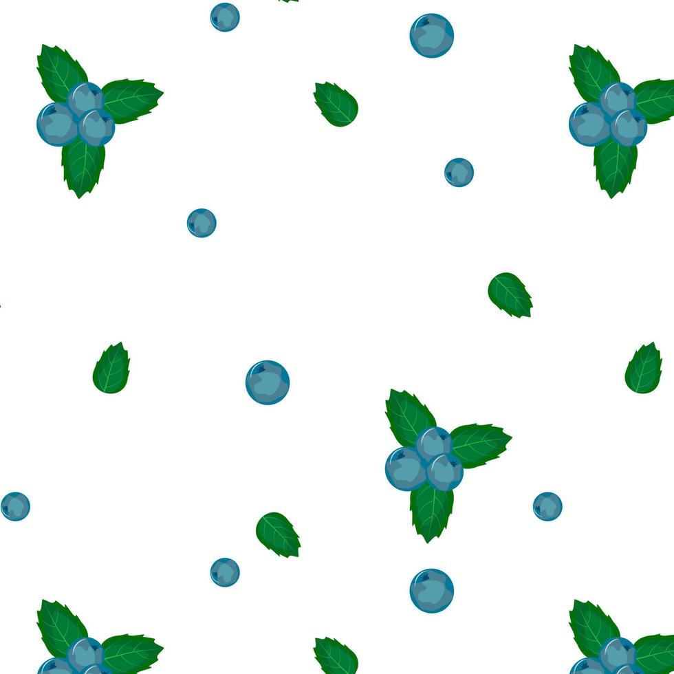 seamless pattern blueberries green leaves on white background vector