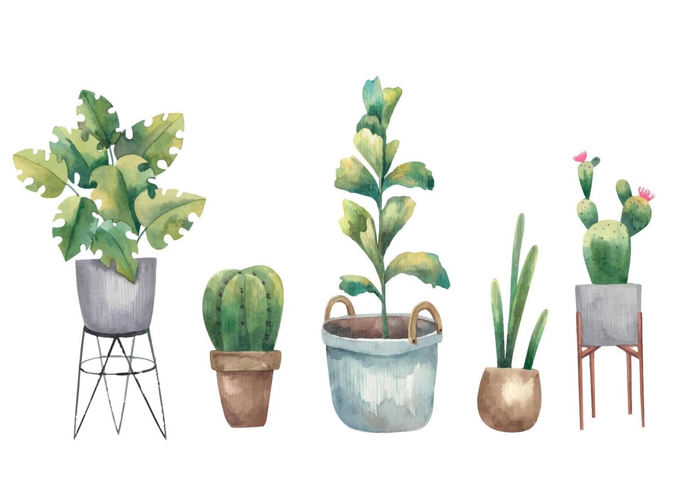 conjunto de cactus, casa plantas y suculentas acuarela ilustración en un blanco fondo.eps vector