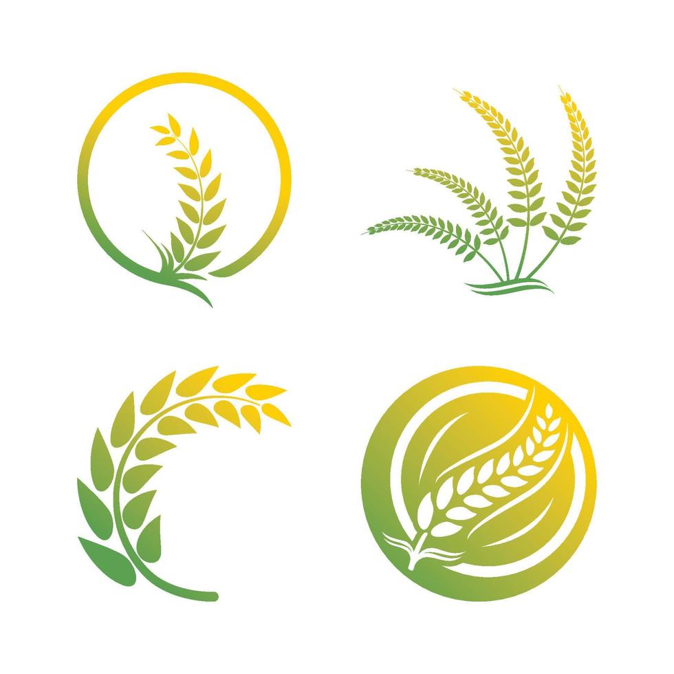 Wheat logo vector icon illustration