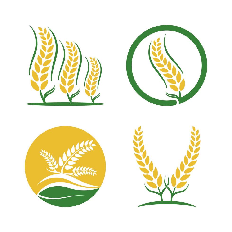 Wheat logo vector icon illustration
