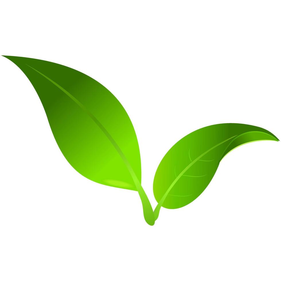 thriving leaves. green leaves of trees and plants. Element for logo eco and bio. vector
