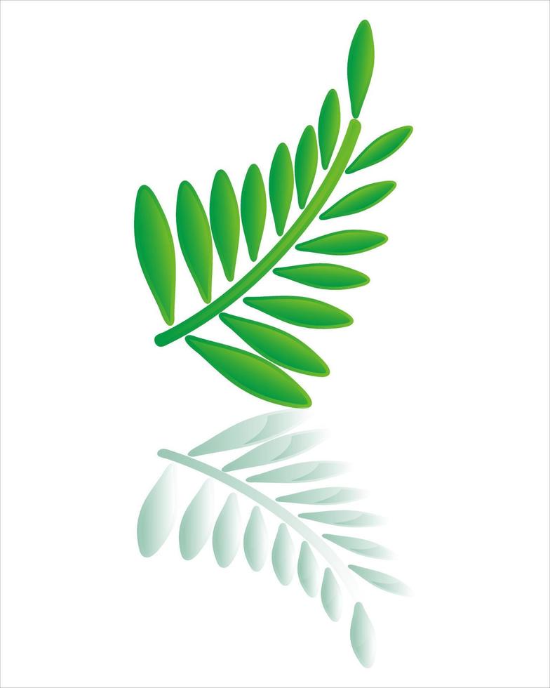 beautiful natural green leaves. with clear shadows and white background. leaf vector.Elegant illustration of decorative beauty for design vector