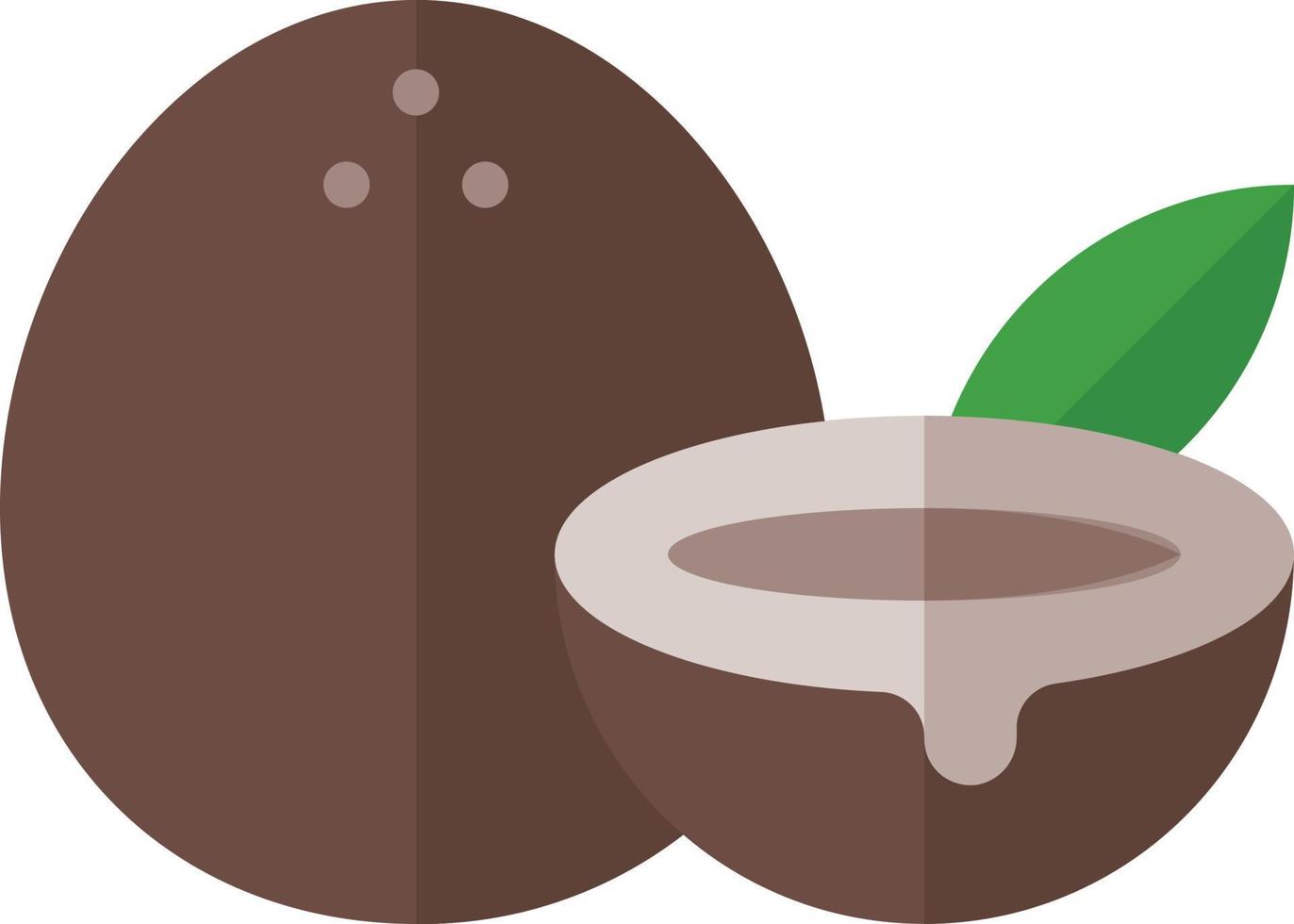 Fruit Illustration Vector