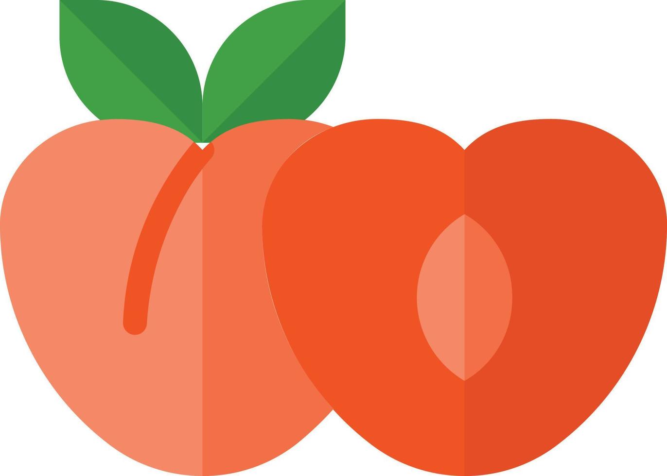 Fruit Illustration Vector