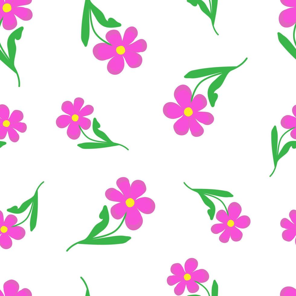vector illustration seamless pattern stylized pink kosmeya doodle flowers on white background