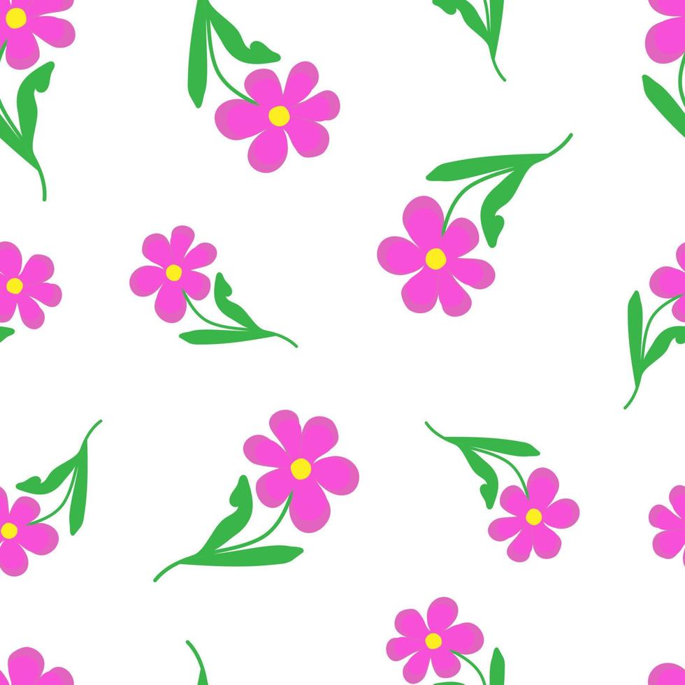 vector illustration seamless pattern stylized pink kosmeya doodle flowers on white background