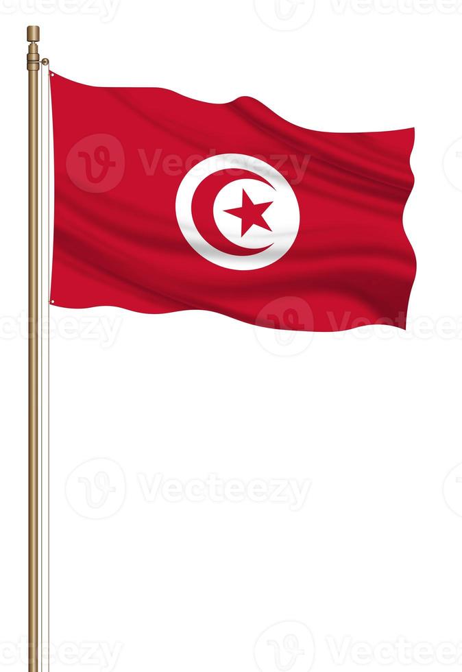 3D Flag of Tunisia on a pillar photo