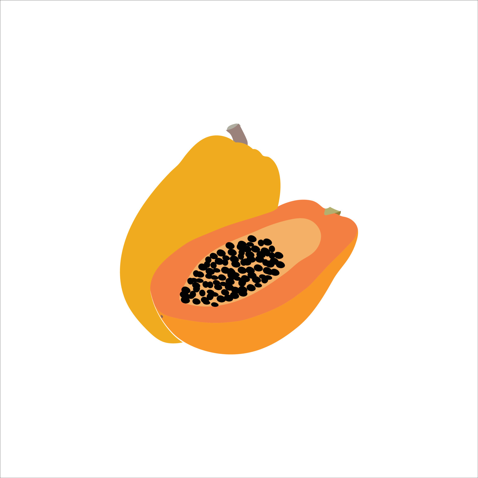 A beautiful papaya vector art work 23004400 Vector Art at Vecteezy