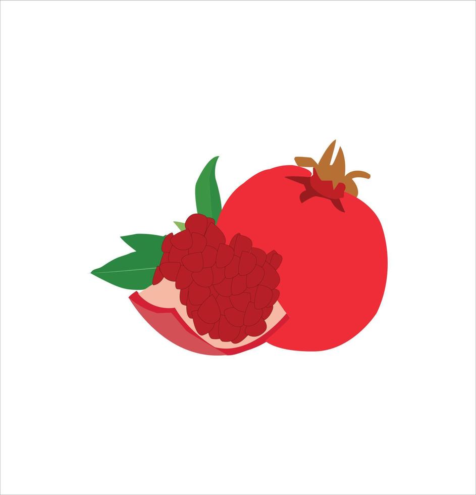 A beautiful pomegranate vector art work.