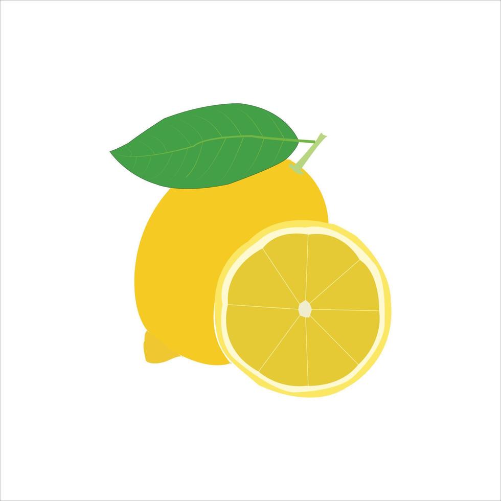 un hermosa limón vector Arte trabajo