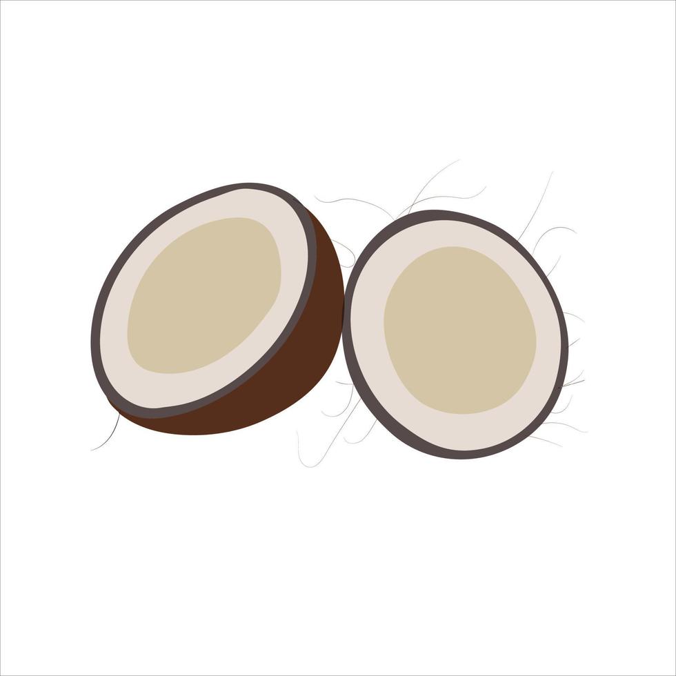 A nice coconut vector art work.