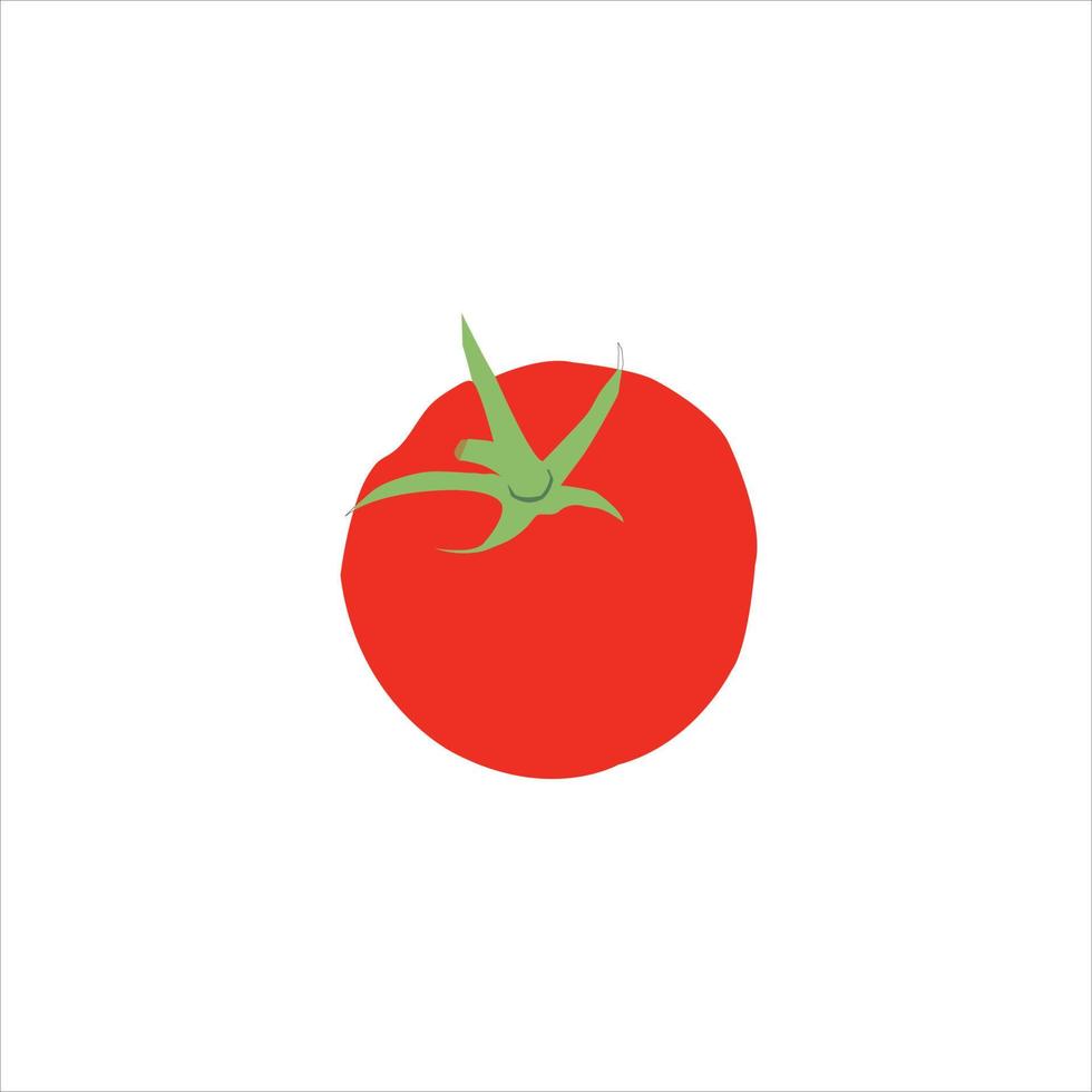 A beautiful red tomato vector art work