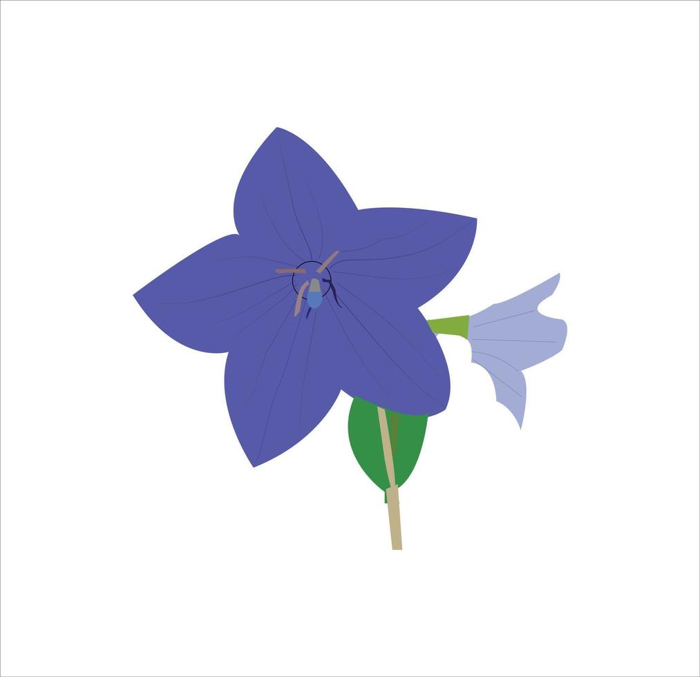 un bonito azul flor vector Arte trabajo