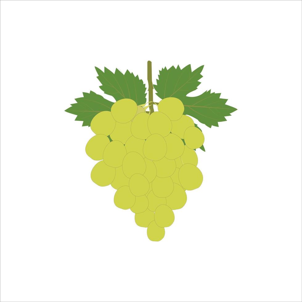 A nice bunch of grapes vector art work.