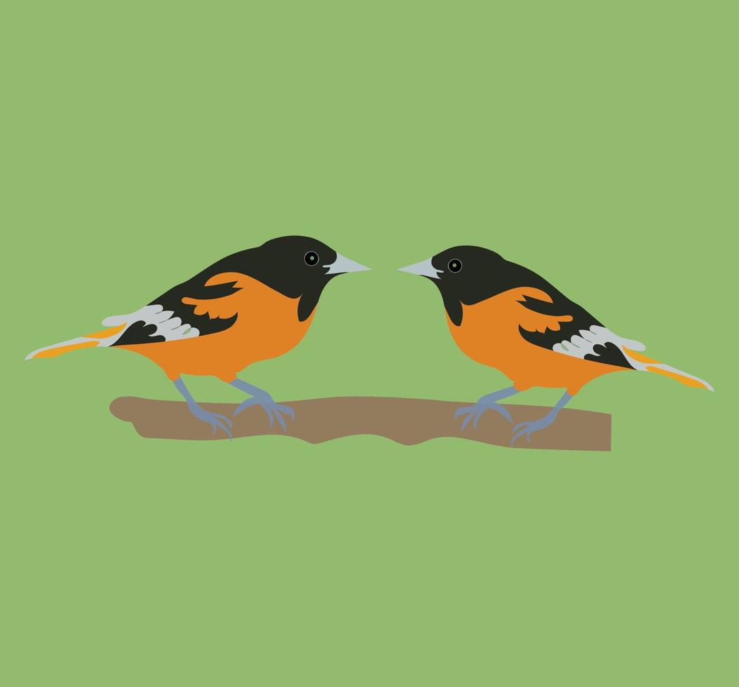 Two beautiful coloured birds vector art work.