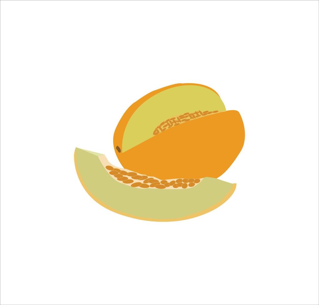 A nice honeydew melon vector art work