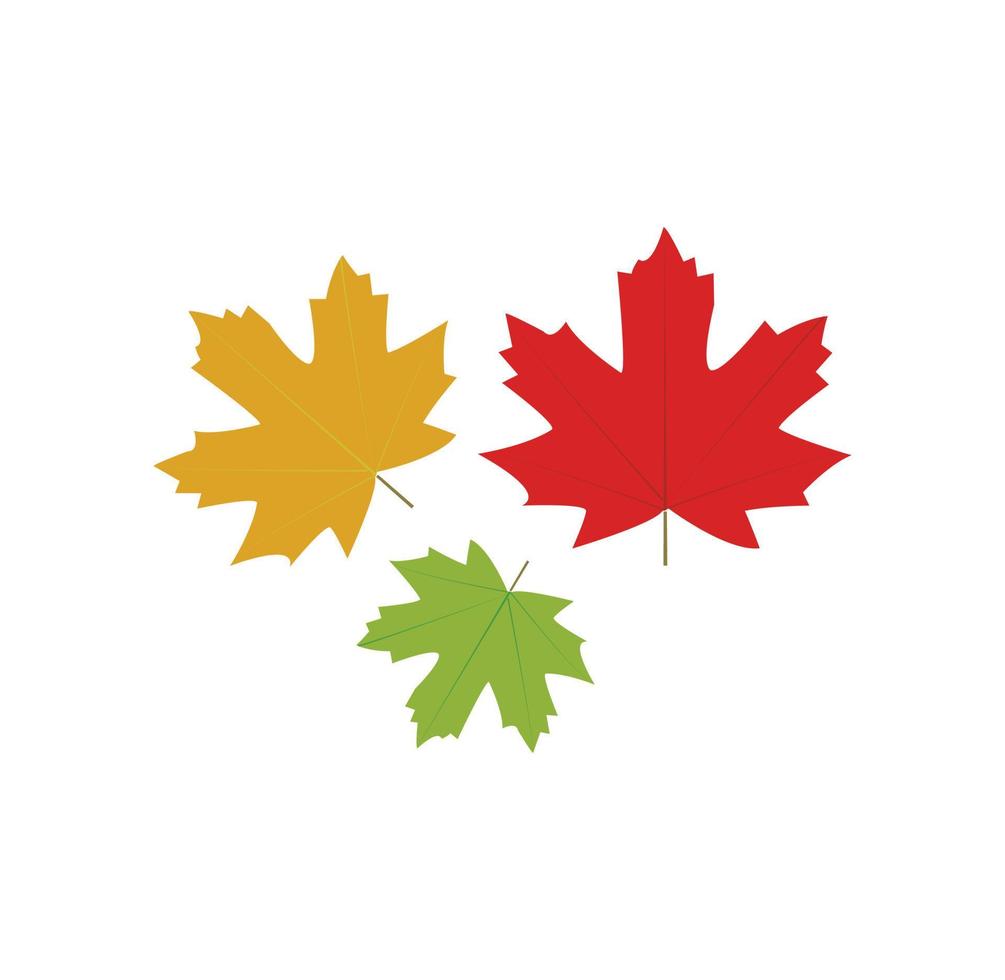 Three nice coloured leaves vector art work
