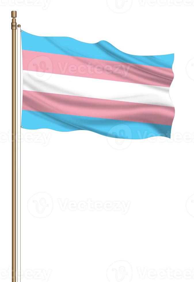 3d illustration Transgender flag photo