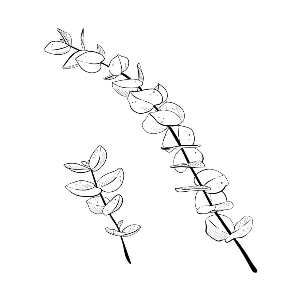 Vector illustration of two nice plant stems on white background.