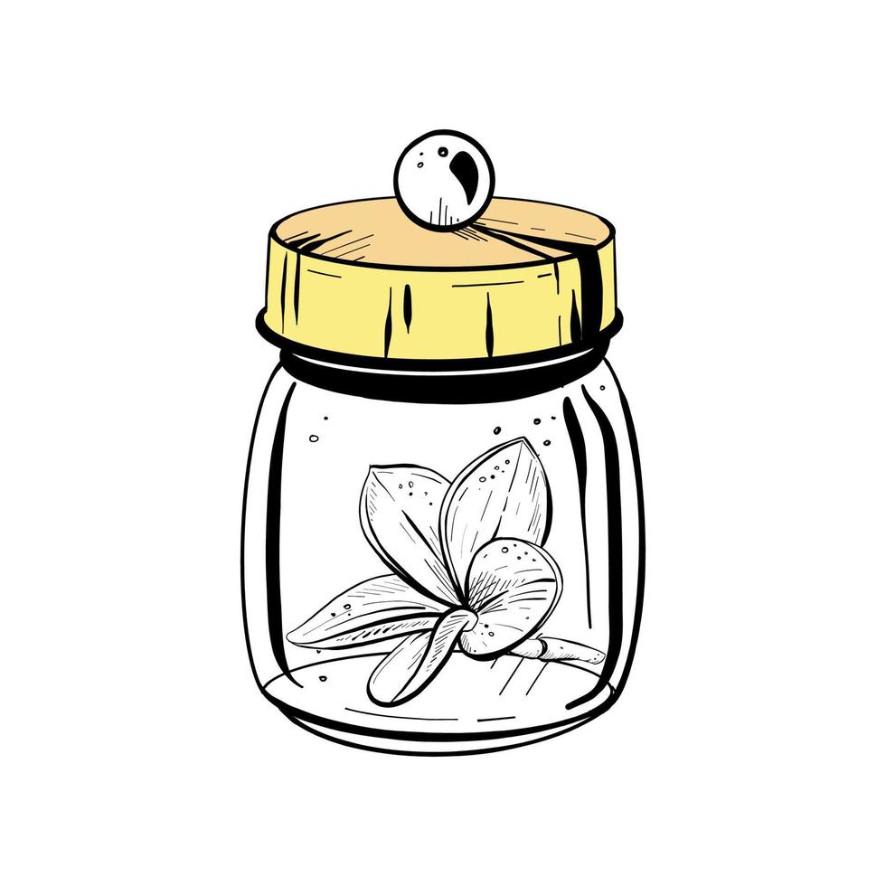 Vector illustration of closed glass container with solid lid and magnolia flower inside on white background