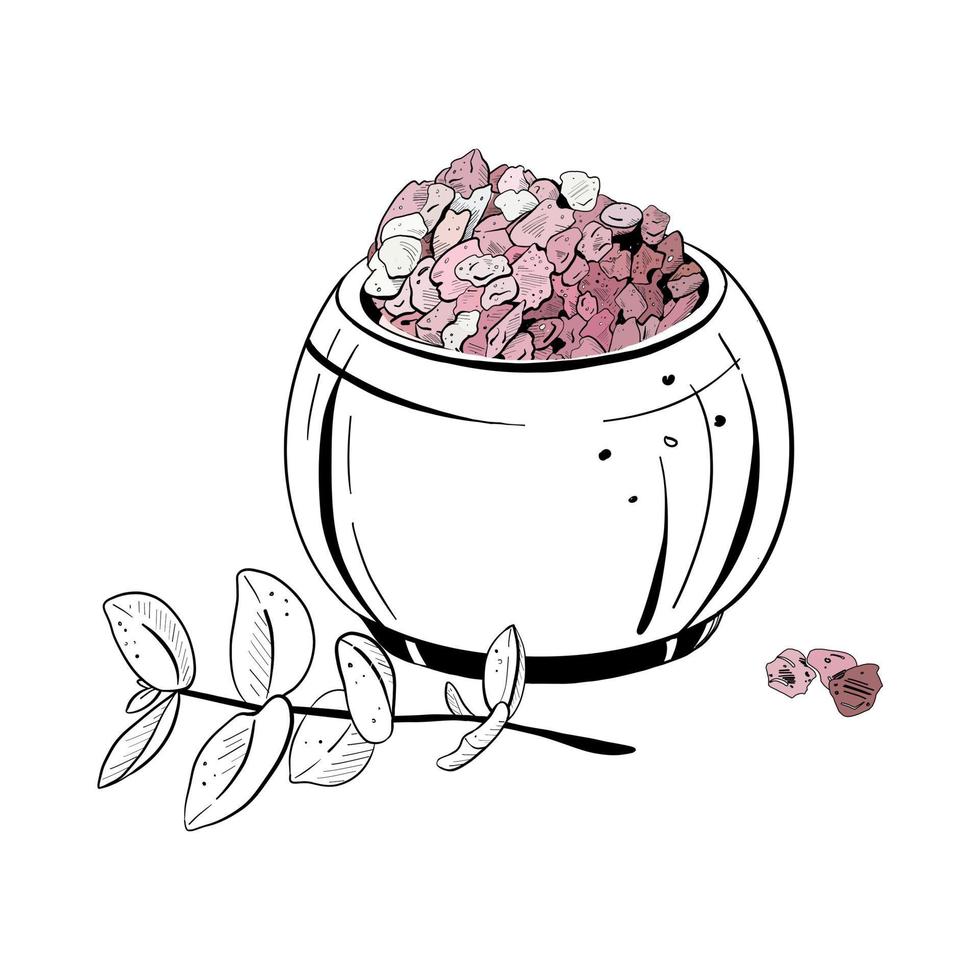 Vector illustration of set with pink sea cosmetic salt