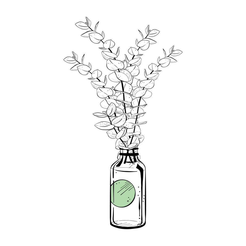 Vector illustration of bottle with label and bouquet of plant stems on white background