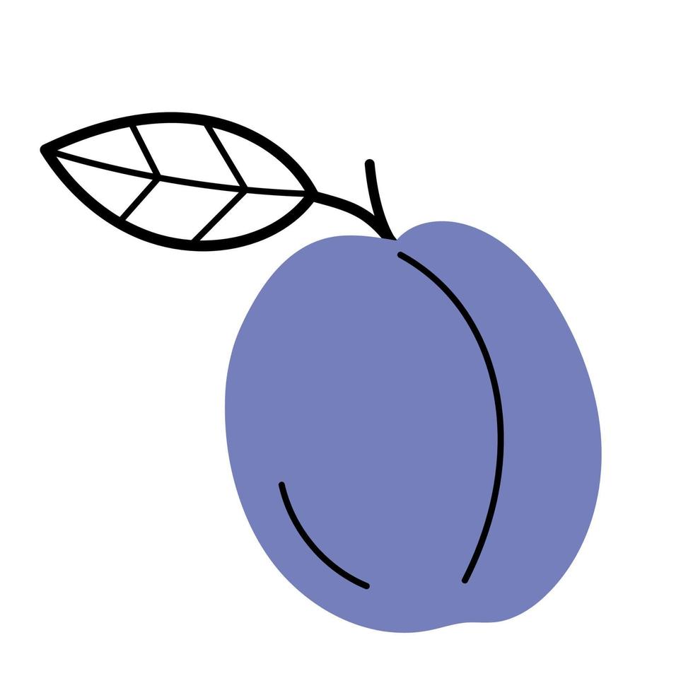 Whole ripe plum with twig and leaf. Hand drawn sketch icon of fruit. Isolated vector illustration in doodle line style.