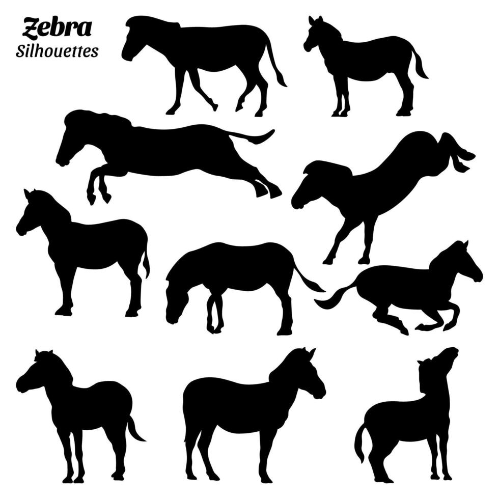 Zebras silhouette vector illustration set.
