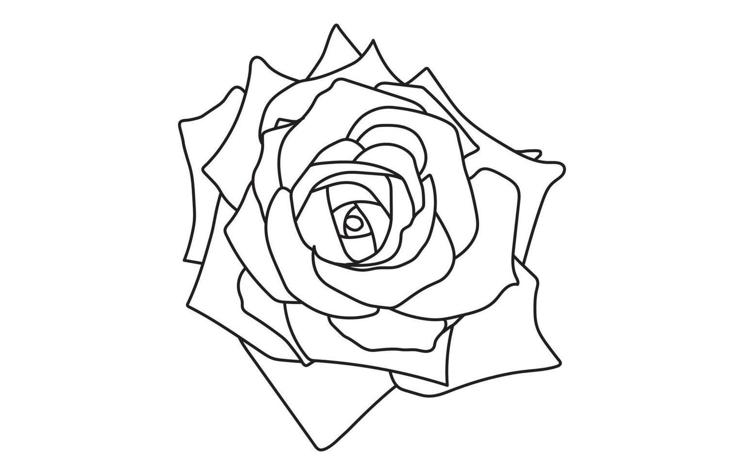 Rose vector graphic design, for prints, vector illustration