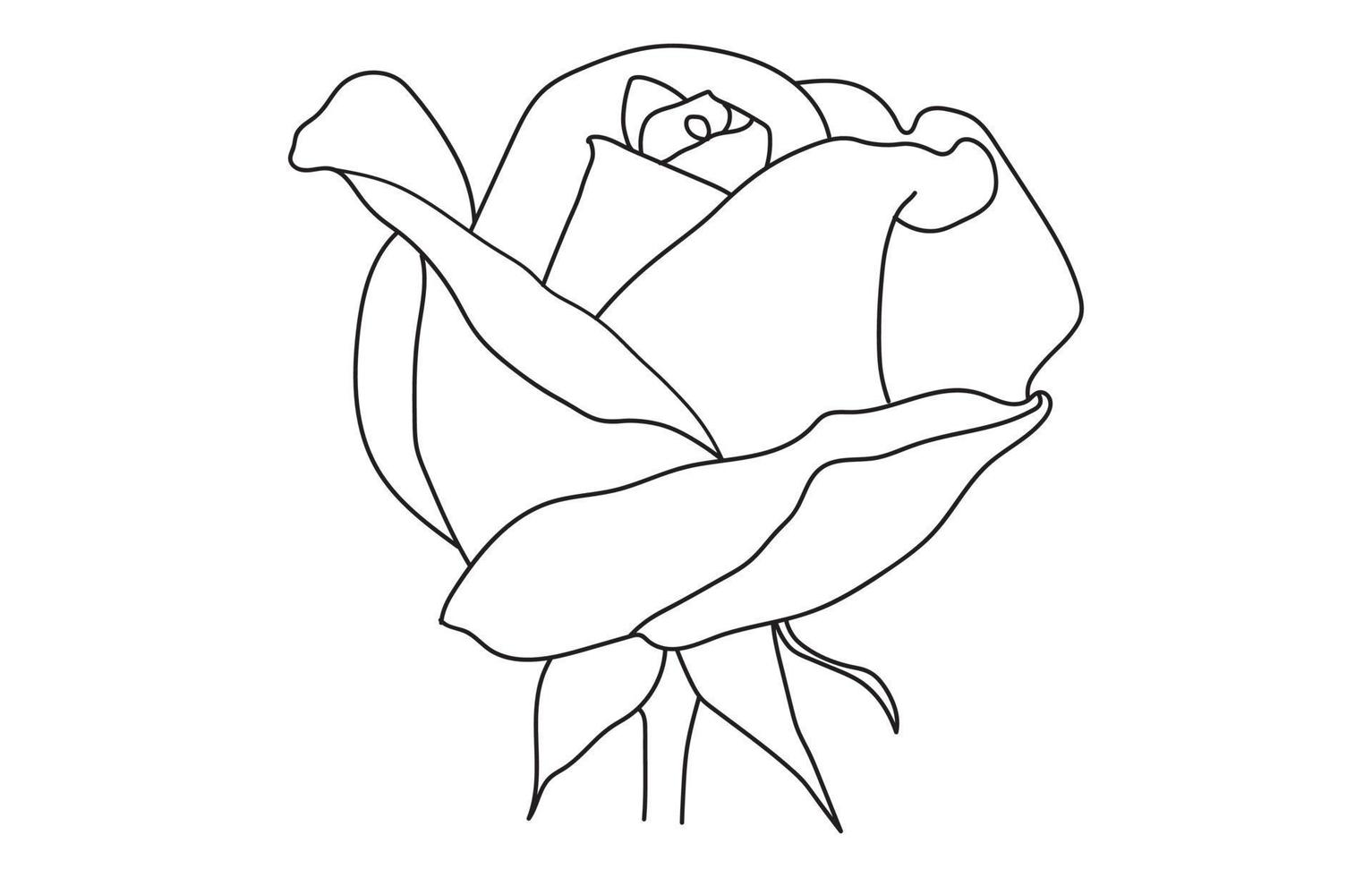 Rose vector graphic design, for prints, vector illustration