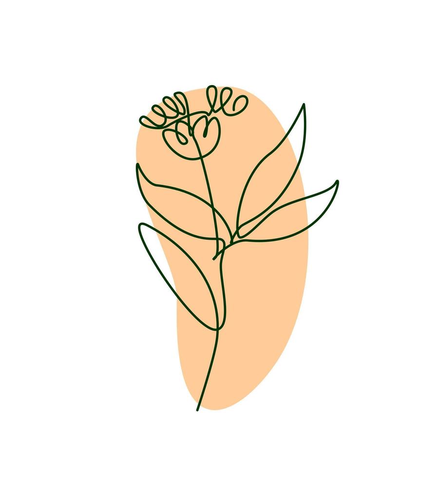 Continuous one simple single line drawing Minimalist hand drawn botanical illustration. Simple line art. vector
