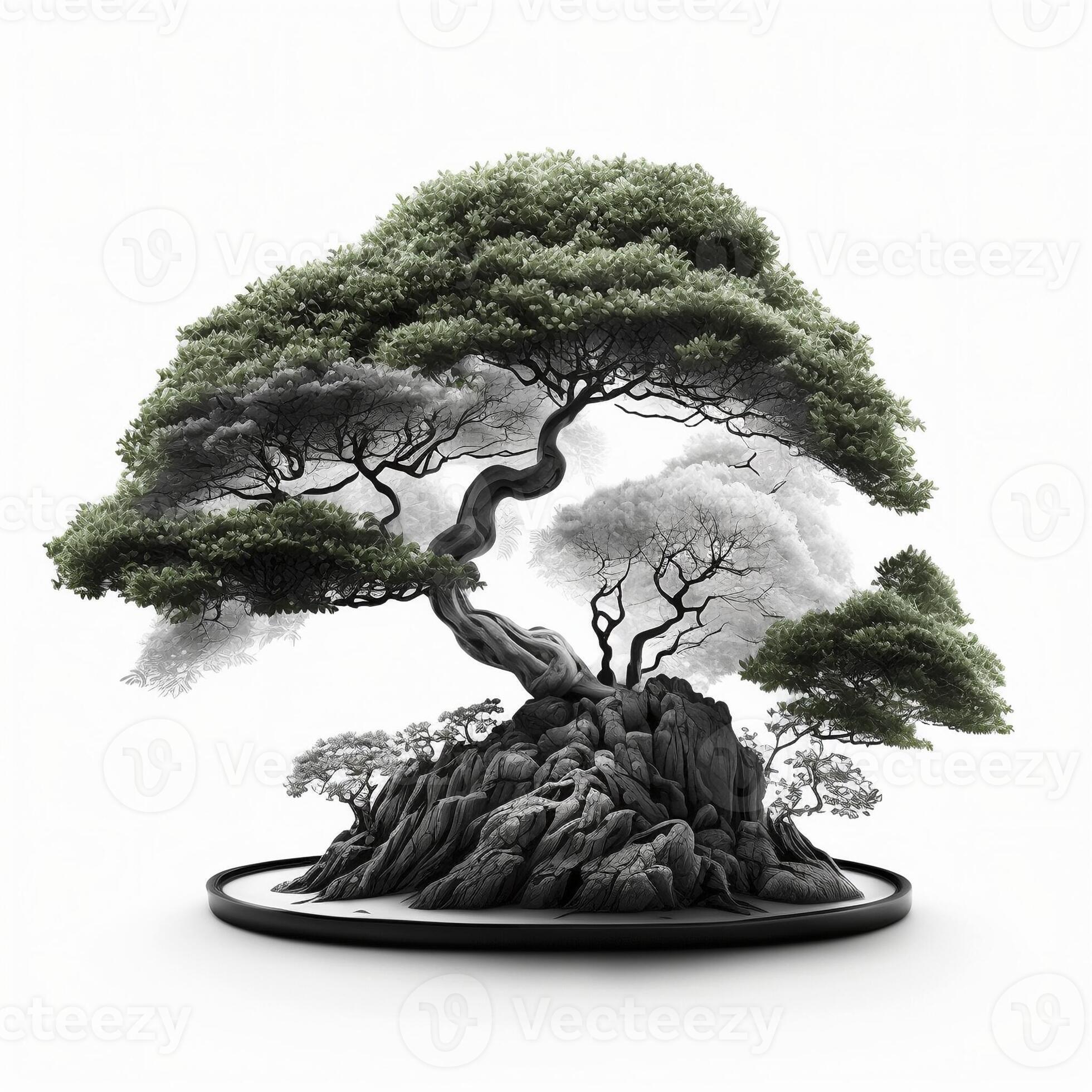 Bonsai tree on white background, created with generative AI 23007294