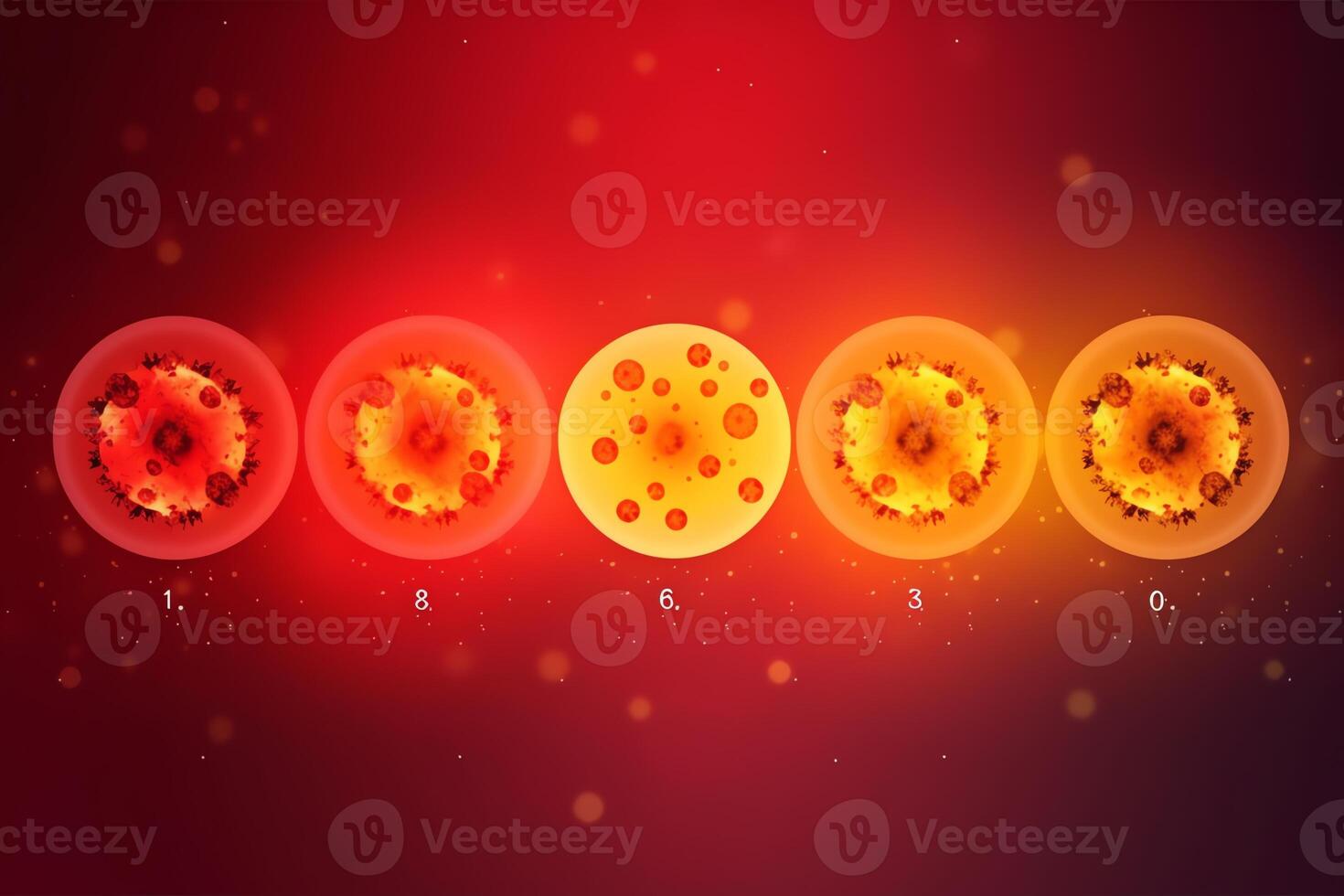 Mitosis stages horizontal banner on red and yellow blurred background. photo